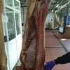 свинина в полутушах охлажденка в Челябинске 3
