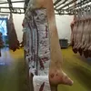 свинина охлажденная в Челябинске