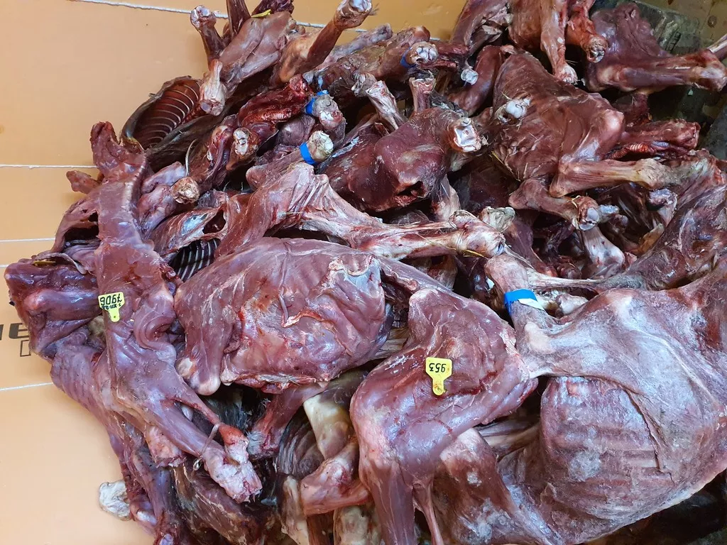 мясо для собак говядина в Челябинске 2