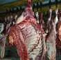мясо говядина в полутушах в Челябинске и Челябинской области 3