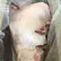 лопатка свиная в Челябинске 2