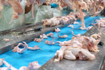 В Челябинской области выросло производство мяса птицы на 4,5%