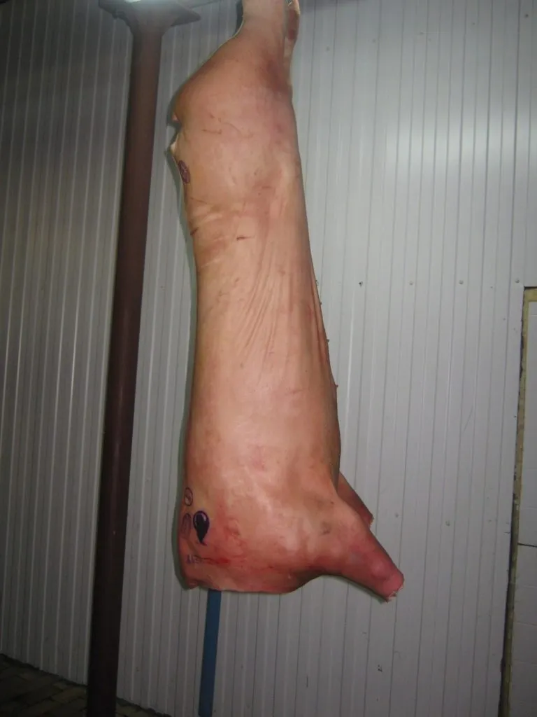 фотография продукта Мясо свинина в охл виде