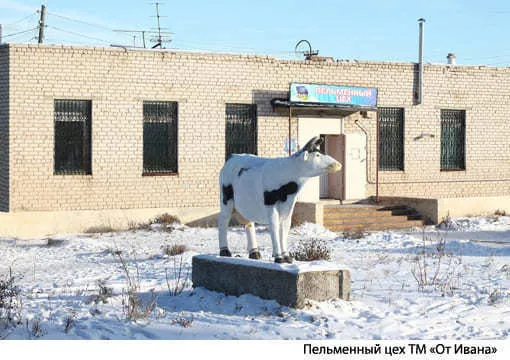 полуфабрикаты (манты, пельмени, котлеты) в Челябинске 4