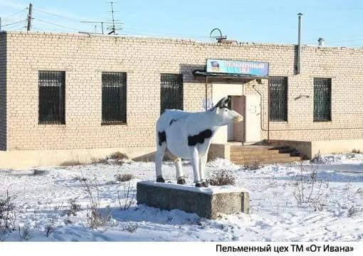 индейка мясо с доставкой в Тюмень в Челябинске 3