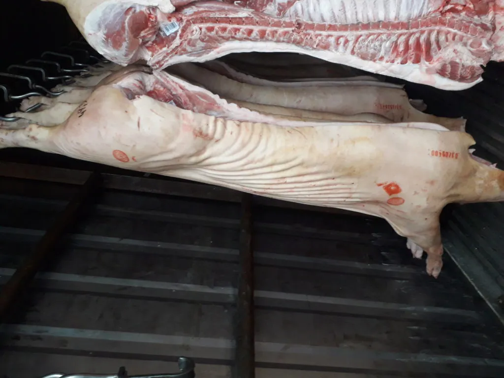 оптовая продажа мяса свинины в Челябинске 5