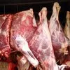 продаю постное мясо говядины. в Челябинске