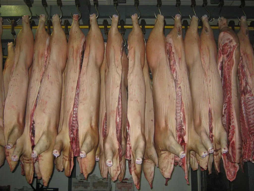 фотография продукта свинина птуши