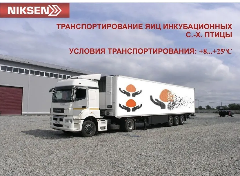 цыплятовозы - разработка, производство  в Челябинске 5