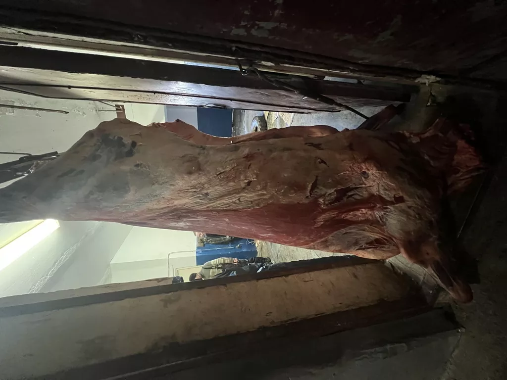 мясо говядина  в Челябинске и Челябинской области 7