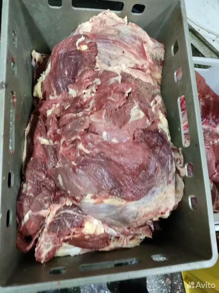 мясо говядины замороженное и охлажденное в Челябинске и Челябинской области 3