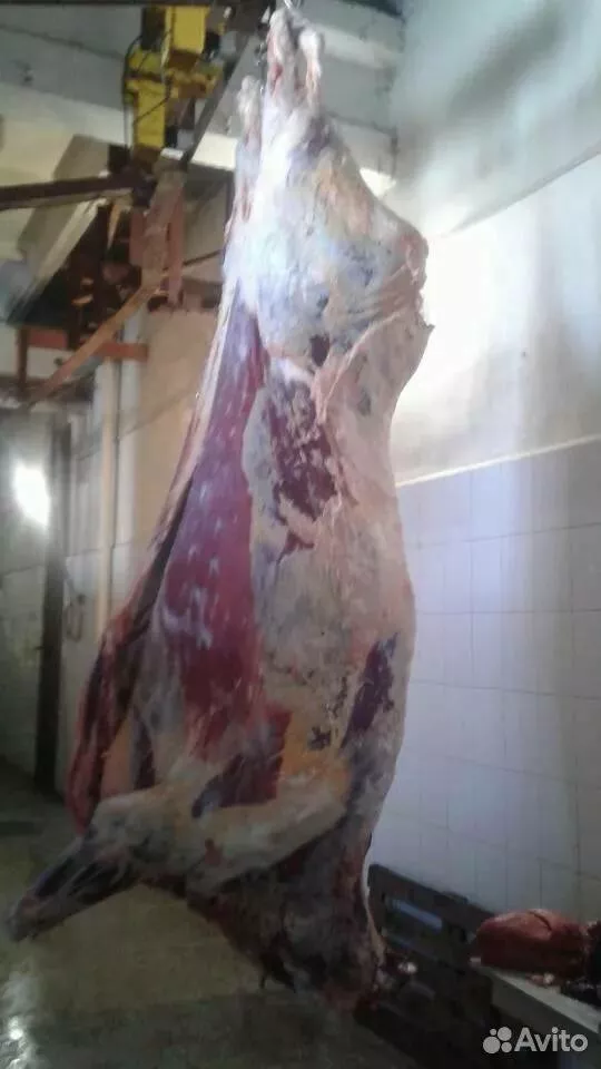 фотография продукта Мясо говядины замороженное и охлажденное